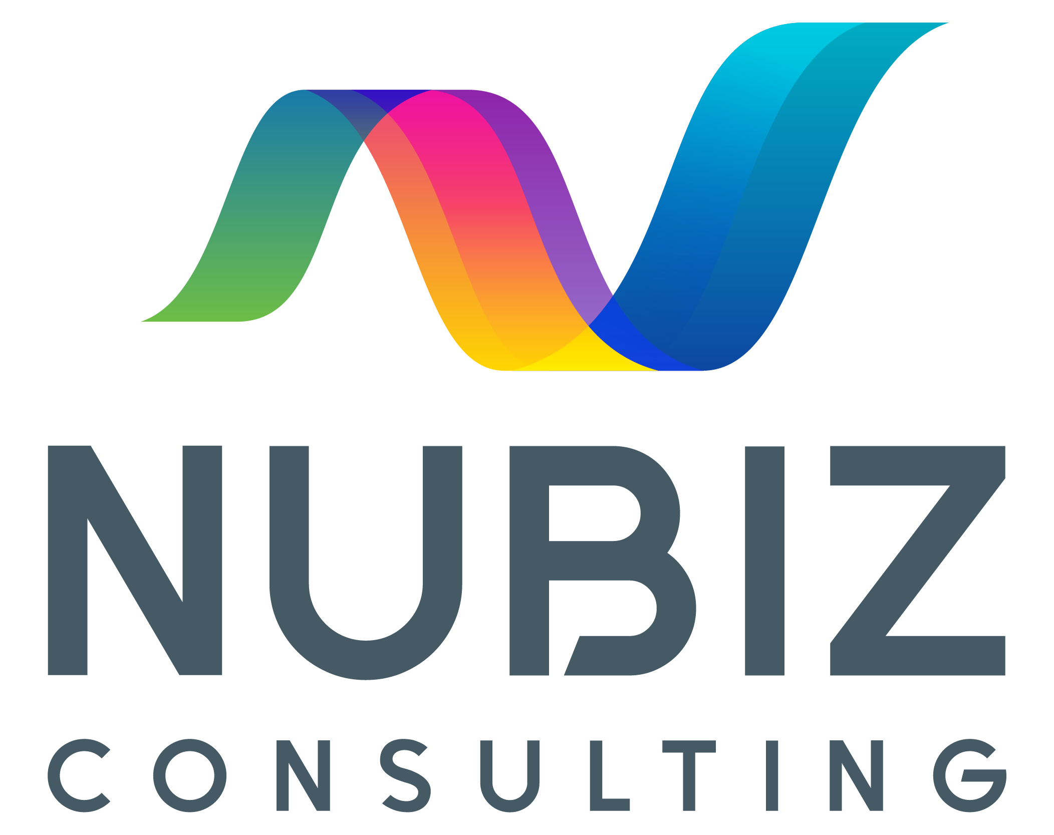 Nubiz Consulting