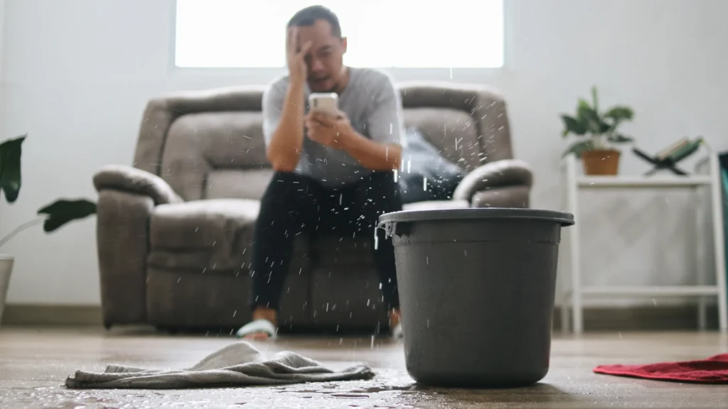 1-800 WATER DAMAGE Franchise: Restoration with Purpose