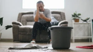 1-800 WATER DAMAGE Franchise: Restoration with Purpose