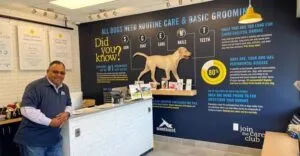 Interior of a Scenthound dog wellness location
